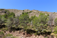 Cañón de los Almadenes. Las Minas. Hellín. Albacete