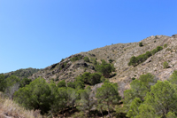  Cañón de los Almadenes. Las Minas. Hellín. Albacete