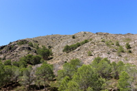  Cañón de los Almadenes. Las Minas. Hellín. Albacete