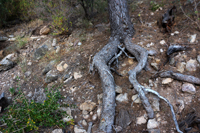 Minería de hierro. Barranco de las minas. Orihuela. Alicante