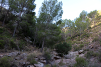 Minería de hierro. Barranco de las minas. Orihuela. Alicante