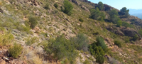 Minería de hierro. Barranco de las minas. Orihuela. Alicante