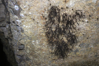 Minería de hierro. Barranco de las minas. Orihuela. Alicante