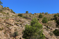 Minería de hierro. Barranco de las minas. Orihuela. Alicante