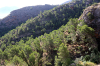 Minería de hierro. Barranco de las minas. Orihuela. Alicante