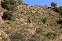 Minería de hierro. Barranco de las minas. Orihuela. Alicante