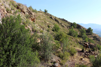 Minería de hierro. Barranco de las minas. Orihuela. Alicante