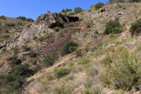 Cañón de los Almadenes. Las Minas. Hellín. Albacete