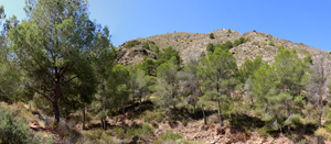 Minería de hierro. Barranco de las minas. Orihuela. Alicante