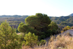 Cantera de arcilla el Chicano. Macisvenda. Murcia