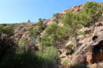Rio Chicano. Macisvenda. Sierra de Abanilla. Murcia