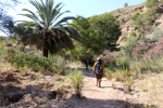 Rio Chicano. Macisvenda. Sierra de Abanilla. Murcia