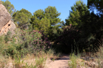 Rio Chicano. Macisvenda. Sierra de Abanilla. Murcia