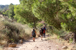 Rio Chicano. Macisvenda. Sierra de Abanilla. Murcia