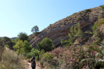 Rio Chicano. Macisvenda. Sierra de Abanilla. Murcia