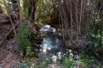 Rio Chicano. Macisvenda. Sierra de Abanilla. Murcia