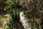 Rio Chicano. Macisvenda. Sierra de Abanilla. Murcia
