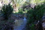  Rio Chicano. Macisvenda. Sierra de Abanilla. Murcia