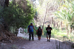  Rio Chicano. Macisvenda. Sierra de Abanilla. Murcia
