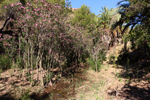  Rio Chicano. Macisvenda. Sierra de Abanilla. Murcia