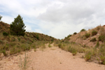  Cantera Cavarrasa. Monovar. Alicante