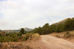  Cantera Cavarrasa. Monovar. Alicante