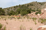 Cantera Cavarrasa. Monovar. Alicante