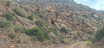   Rambla del Avenque. El Gorguel. Cartagena. Murcia