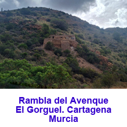  Rambla del Avenque. El Gorguel. Cartagena. Murcia  