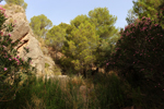 Rio Chicano. .  Murcia