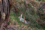 Rio Chicano. .  Murcia