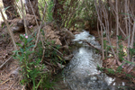 Rio Chicano. .  Murcia
