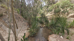 Rio Chicano. .  Murcia