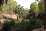 Rio Chicano. .  Murcia