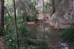 Rio Chicano. .  Murcia