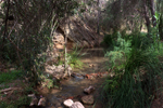 Rio Chicano. .  Murcia