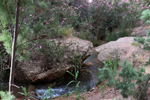 Rio Chicano. .  Murcia