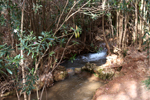 Rio Chicano. .  Murcia