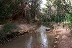 Rio Chicano. .  Murcia
