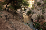 Rio Chicano. .  Murcia