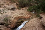 Rio Chicano. .  Murcia