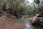Rio Chicano. .  Murcia