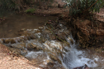 Rio Chicano. .  Murcia