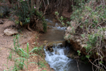 Rio Chicano. .  Murcia
