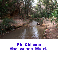 Cañon del Rio Chicano. Macisvenda. Murcia 
