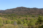 Mina Castelar. Los Almagros. Fuente Álamo. Murcia