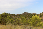Mina Castelar. Los Almagros. Fuente Álamo. Murcia
