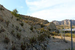 Espartal de Pinares. Jijona. Alicante