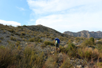 Espartal de Pinares. Jijona. Alicante