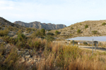 Espartal de Pinares. Jijona. Alicante